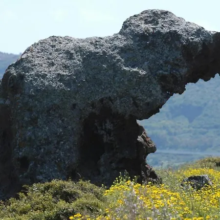 Arenada